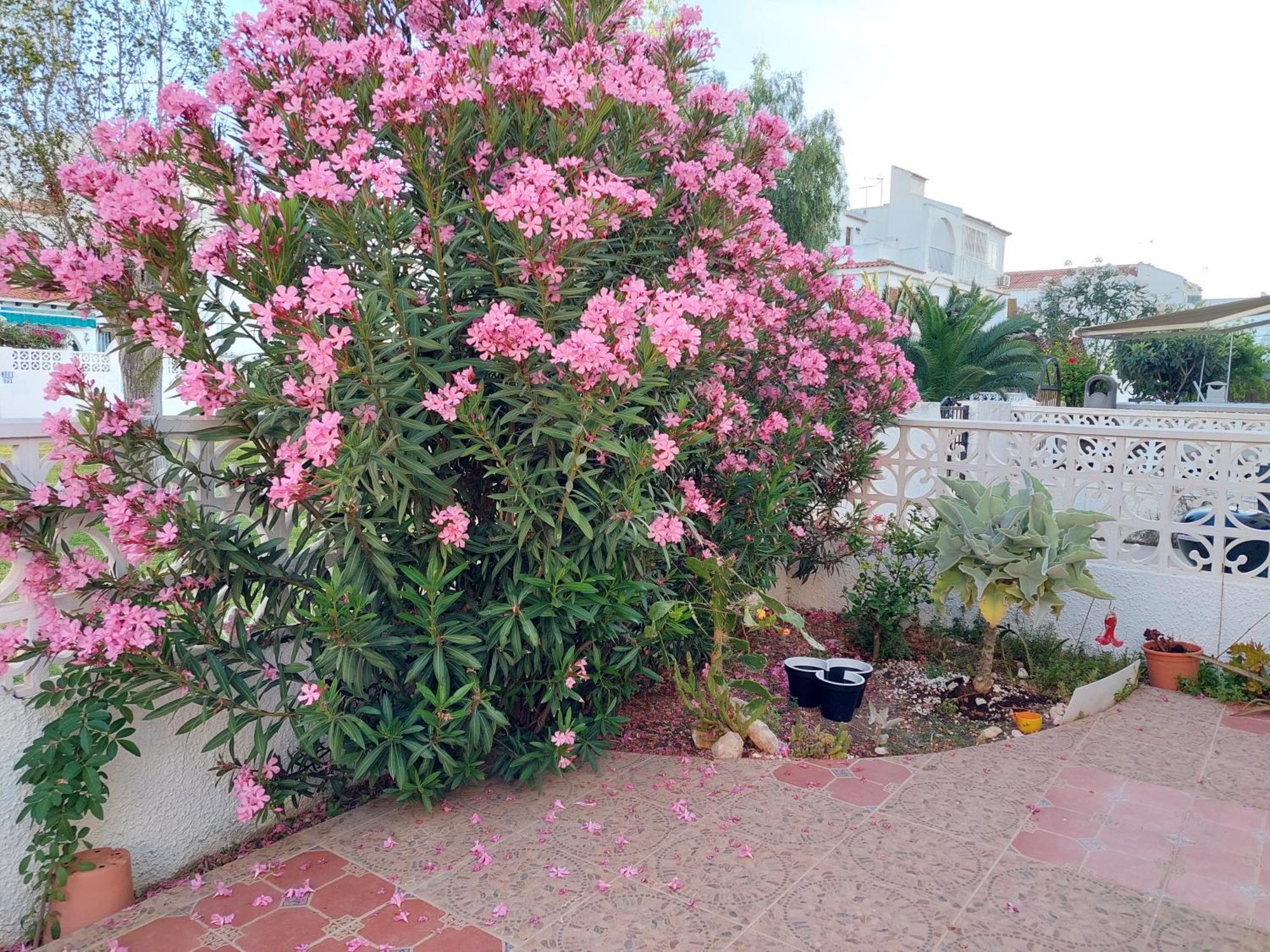Haus Am Meer ตอร์เรเวียคา ภายนอก รูปภาพ